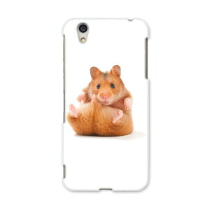 AQUOSL AQUOS L UQ mobile Sharp V[v simfree SIMt[ X}z Jo[ P[X X}zP[X X}zJo[ PC n[hP[X 001075 nX^[@