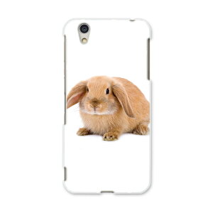 AQUOSL AQUOS L UQ mobile Sharp V[v simfree SIMt[ X}z Jo[ P[X X}zP[X X}zJo[ PC n[hP[X 001112 @