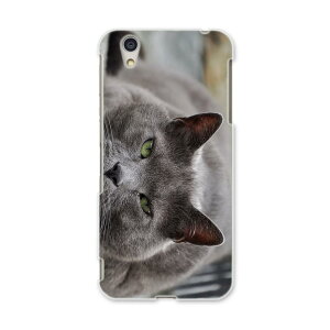 AQUOSL AQUOS L UQ mobile Sharp V[v simfree SIMt[ X}z Jo[ P[X X}zP[X X}zJo[ PC n[hP[X 002650 L@@ʐ^