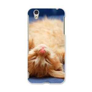 AQUOSL AQUOS L UQ mobile Sharp V[v simfree SIMt[ X}z Jo[ P[X X}zP[X X}zJo[ PC n[hP[X 002759 L@@ʐ^