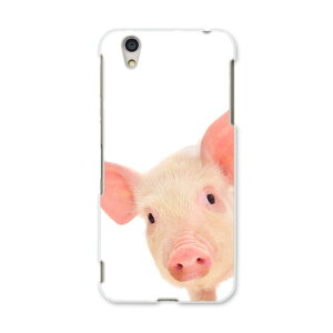 AQUOSL AQUOS L UQ mobile Sharp V[v simfree SIMt[ X}z Jo[ P[X X}zP[X X}zJo[ PC n[hP[X 002775 Ԃ@@ʐ^