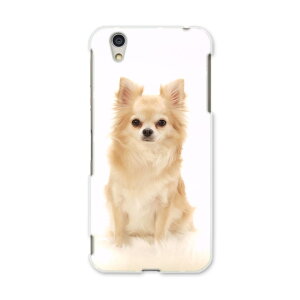 AQUOSL AQUOS L UQ mobile Sharp V[v simfree SIMt[ X}z Jo[ P[X X}zP[X X}zJo[ PC n[hP[X 002914 @@ʐ^