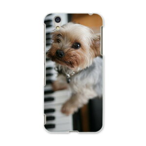 AQUOSL AQUOS L UQ mobile Sharp V[v simfree SIMt[ X}z Jo[ P[X X}zP[X X}zJo[ PC n[hP[X 004565 @ʐ^@sAm