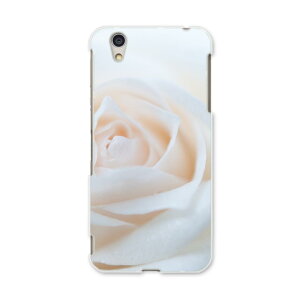 AQUOSL AQUOS L UQ mobile Sharp V[v simfree SIMt[ X}z Jo[ P[X X}zP[X X}zJo[ PC n[hP[X 005080 @KN@ʐ^