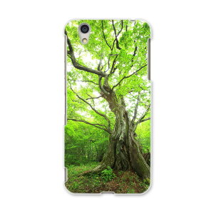 AQUOSL AQUOS L UQ mobile Sharp V[v simfree SIMt[ X}z Jo[ P[X X}zP[X X}zJo[ PC n[hP[X 005452 ʐ^@X@A