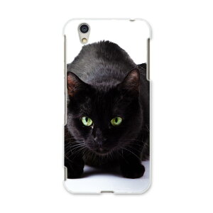 AQUOSL AQUOS L UQ mobile Sharp V[v simfree SIMt[ X}z Jo[ P[X X}zP[X X}zJo[ PC n[hP[X 005958 ʐ^@@˂@L