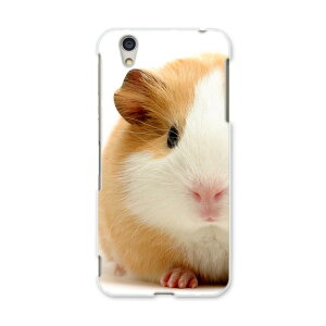 AQUOSL AQUOS L UQ mobile Sharp V[v simfree SIMt[ X}z Jo[ P[X X}zP[X X}zJo[ PC n[hP[X 006036 ʐ^@@nX^[