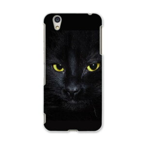 AQUOSL AQUOS L UQ mobile Sharp V[v simfree SIMt[ X}z Jo[ P[X X}zP[X X}zJo[ PC n[hP[X 006447 ʐ^@L@˂