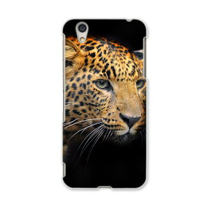 AQUOSL AQUOS L UQ mobile Sharp V[v simfree SIMt[ X}z Jo[ P[X X}zP[X X}zJo[ PC n[hP[X 006775 ʐ^@@qE