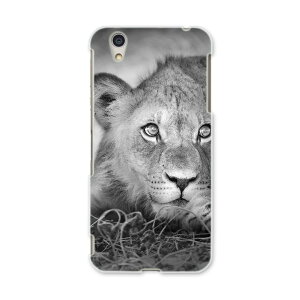 AQUOSL AQUOS L UQ mobile Sharp V[v simfree SIMt[ X}z Jo[ P[X X}zP[X X}zJo[ PC n[hP[X 007626 ʐ^@mN@CI