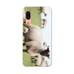 AQUOS sense3 SH-02M �A�N�I�X �Z���X�X���[ sh02m ��p�\�t�g�P�[�X �X�}�z�J�o�[ �J�o�[ �P�[�X tpu �\�t�g �P�[�X 002653 �Ђ��@�����@�ʐ^