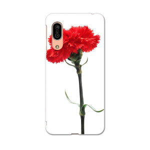 SH-02M AQUOS sense3 ANIX ZXX[ sh02m docomo hR X}z Jo[ S@Ή  P[X X}zP[X X}zJo[ TPU \tgP[X 012928 ̓@J[l[V@