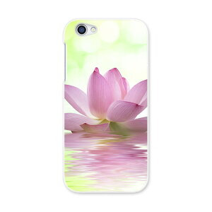 604SH AQUOS R ANIXR Sharp V[v softbank \tgoN 604sh X}z Jo[ P[X X}zP[X X}zJo[ PC n[hP[X 000147 @@ʁ@