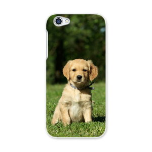 604SH AQUOS R ANIXR Sharp V[v softbank \tgoN 604sh X}z Jo[ P[X X}zP[X X}zJo[ PC n[hP[X 002580 @@ʐ^