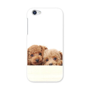 604SH AQUOS R ANIXR Sharp V[v softbank \tgoN 604sh X}z Jo[ P[X X}zP[X X}zJo[ PC n[hP[X 002770 @@ʐ^