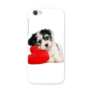 604SH AQUOS R ANIXR Sharp V[v softbank \tgoN 604sh X}z Jo[ P[X X}zP[X X}zJo[ PC n[hP[X 002793 @@ʐ^