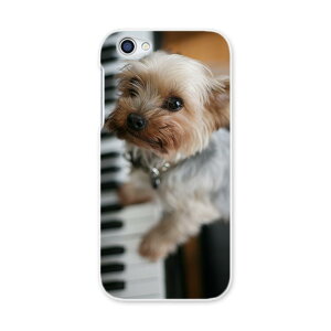 604SH AQUOS R �A�N�I�XR Sharp �V���[�v softbank �\�t�g�o���N 604sh �X�}�z �J�o�[ �P�[�X �X�}�z�P�[�X �X�}�z�J�o�[ PC �n�[�h�P�[�X 004565 ���@�ʐ^�@�s�A�m
