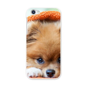 604SH AQUOS R ANIXR Sharp V[v softbank \tgoN 604sh X}z Jo[ P[X X}zP[X X}zJo[ PC n[hP[X 008644 @ʐ^@IW