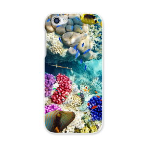 604SH AQUOS R ANIXR Sharp V[v softbank \tgoN 604sh X}z Jo[ P[X X}zP[X X}zJo[ PC n[hP[X 008923 ʐ^@@C@X