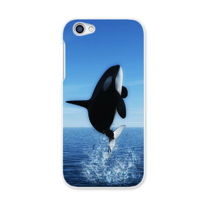 604SH AQUOS R ANIXR Sharp V[v softbank \tgoN 604sh X}z Jo[ P[X X}zP[X X}zJo[ PC n[hP[X 010806 V`@@C