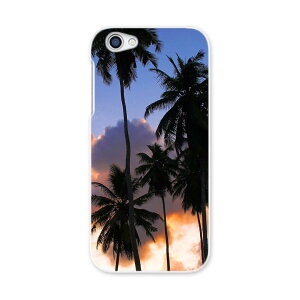 SHV39 AQUOS R ANIX R au G[[ X}z Jo[ X}zP[X n[h pc P[X n[hP[X V̖؁@@ʐ^ 010821