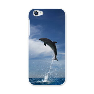 604SH AQUOS R �A�N�I�XR Sharp �V���[�v softbank �\�t�g�o���N 604sh �X�}�z �J�o�[ �P�[�X �X�}�z�P�[�X �X�}�z�J�o�[ PC �n�[�h�P�[�X 010965 �C�@�C���J�@�ʐ^