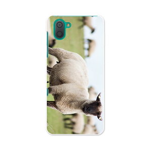 SH-04L AQUOS R3 ANIX A[X[ sh04l docomo hR X}z Jo[ P[X X}zP[X X}zJo[ PC n[hP[X 002653 Ђ@@ʐ^