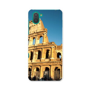 808SH AQUOS R3 ANIX A[X[ 808sh softbank \tgoN X}z Jo[ P[X X}zP[X X}zJo[ TPU \tgP[X 012829 ʐ^@@iF