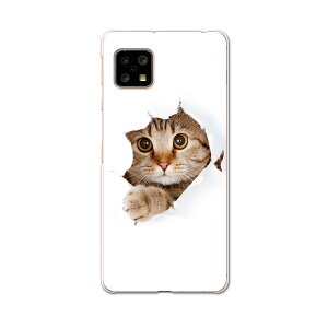 AQUOS Sense4 pP[X n[hP[X SH-41A docomo hR igcase X}zJo[ Jo[ P[X 002783 Aj} L@@ʐ^
