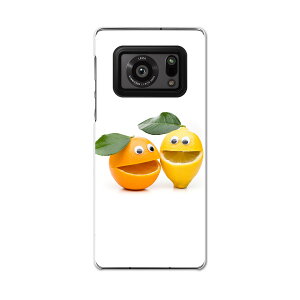 AQUOS R6 SH-51B SHARP V[v ANIX docomo hR X}z Jo[ P[X X}zP[X X}zJo[ PC n[hP[X 000813 t[c@L