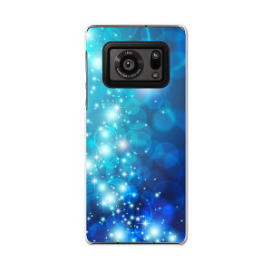 AQUOS R6 SH-51B SHARP �V���[�v �A�N�I�X docomo �h�R�� �X�}�z �J�o�[ �P�[�X �X�}�z�P�[�X �X�}�z�J�o�[ PC �n�[�h�P�[�X 000965 �͗l�@��
