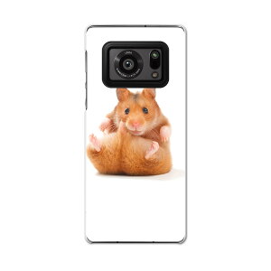 AQUOS R6 SH-51B SHARP V[v ANIX docomo hR X}z Jo[ P[X X}zP[X X}zJo[ PC n[hP[X 001075 nX^[@