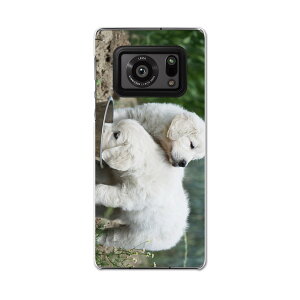 AQUOS R6 SH-51B SHARP V[v ANIX docomo hR X}z Jo[ P[X X}zP[X X}zJo[ PC n[hP[X 002577