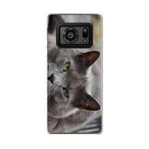 AQUOS R6 SH-51B SHARP �V���[�v �A�N�I�X docomo �h�R�� �X�}�z �J�o�[ �P�[�X �X�}�z�P�[�X �X�}�z�J�o�[ PC �n�[�h�P�[�X 002650 �L�@�����@�ʐ^