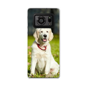 AQUOS R6 SH-51B SHARP �V���[�v �A�N�I�X docomo �h�R�� �X�}�z �J�o�[ �P�[�X �X�}�z�P�[�X �X�}�z�J�o�[ PC �n�[�h�P�[�X 002665 ���@�����@�ʐ^
