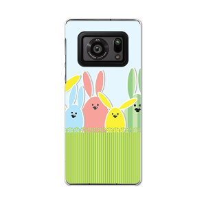 AQUOS R6 SH-51B SHARP V[v ANIX docomo hR X}z Jo[ P[X X}zP[X X}zJo[ PC n[hP[X 002868 @@Jt