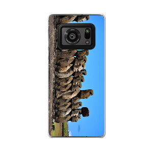 AQUOS R6 SH-51B SHARP V[v ANIX docomo hR X}z Jo[ P[X X}zP[X X}zJo[ PC n[hP[X 003284 O@ʐ^@iF@i