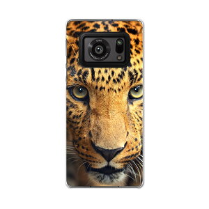 AQUOS R6 SH-51B SHARP V[v ANIX docomo hR X}z Jo[ P[X X}zP[X X}zJo[ PC n[hP[X 004522 @ʐ^
