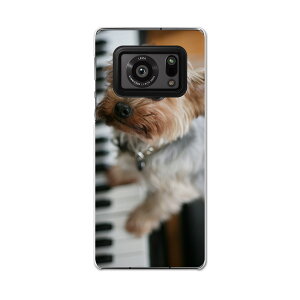 AQUOS R6 SH-51B SHARP �V���[�v �A�N�I�X docomo �h�R�� �X�}�z �J�o�[ �P�[�X �X�}�z�P�[�X �X�}�z�J�o�[ PC �n�[�h�P�[�X 004565 ���@�ʐ^�@�s�A�m