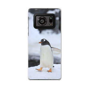 AQUOS R6 SH-51B SHARP V[v ANIX docomo hR X}z Jo[ P[X X}zP[X X}zJo[ PC n[hP[X 004679 @yM@ʐ^