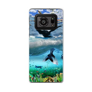 AQUOS R6 SH-51B SHARP V[v ANIX docomo hR X}z Jo[ P[X X}zP[X X}zJo[ PC n[hP[X 004897 C@~@ʐ^