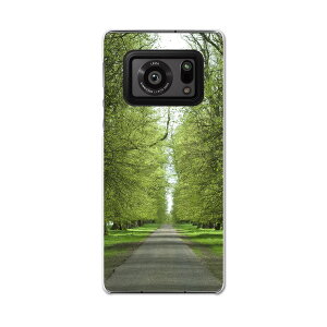 AQUOS R6 SH-51B SHARP V[v ANIX docomo hR X}z Jo[ P[X X}zP[X X}zJo[ PC n[hP[X 005918 ʐ^@ā@ؓ