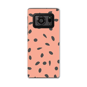 AQUOS R6 SH-51B SHARP V[v ANIX docomo hR X}z Jo[ P[X X}zP[X X}zJo[ PC n[hP[X 050468