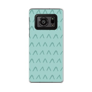 AQUOS R6 SH-51B SHARP V[v ANIX docomo hR X}z Jo[ P[X X}zP[X X}zJo[ PC n[hP[X 050528