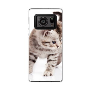 AQUOS R6 SH-51B SHARP V[v ANIX docomo hR X}z Jo[ P[X X}zP[X X}zJo[ PC n[hP[X 006228 ʐ^@lR@˂