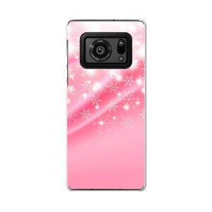 AQUOS R6 SH-51B SHARP V[v ANIX docomo hR X}z Jo[ P[X X}zP[X X}zJo[ PC n[hP[X 006254 @@sN