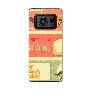 AQUOS R6 SH-51B SHARP V[v ANIX docomo hR X}z Jo[ P[X X}zP[X X}zJo[ PC n[hP[X 006423 @@o^C