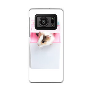 AQUOS R6 SH-51B SHARP �V���[�v �A�N�I�X docomo �h�R�� �X�}�z �J�o�[ �P�[�X �X�}�z�P�[�X �X�}�z�J�o�[ PC �n�[�h�P�[�X 006501 �ʐ^�@�n���X�^�[�@����