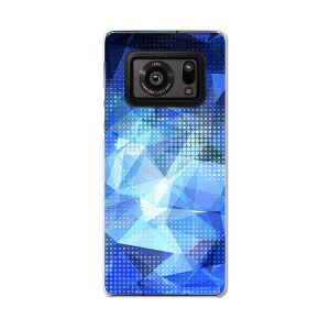 AQUOS R6 SH-51B SHARP V[v ANIX docomo hR X}z Jo[ P[X X}zP[X X}zJo[ PC n[hP[X 006541 @u[@͗l