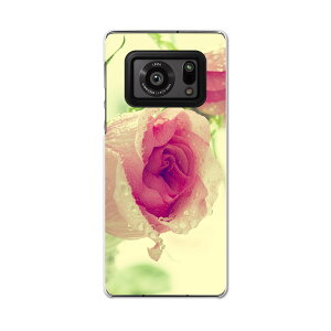 AQUOS R6 SH-51B SHARP V[v ANIX docomo hR X}z Jo[ P[X X}zP[X X}zJo[ PC n[hP[X 006595 ʐ^@ԁ@t[